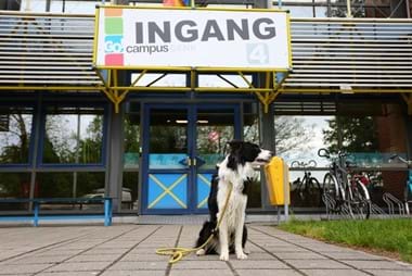 Openingsuren school tijdens de zomervakantie